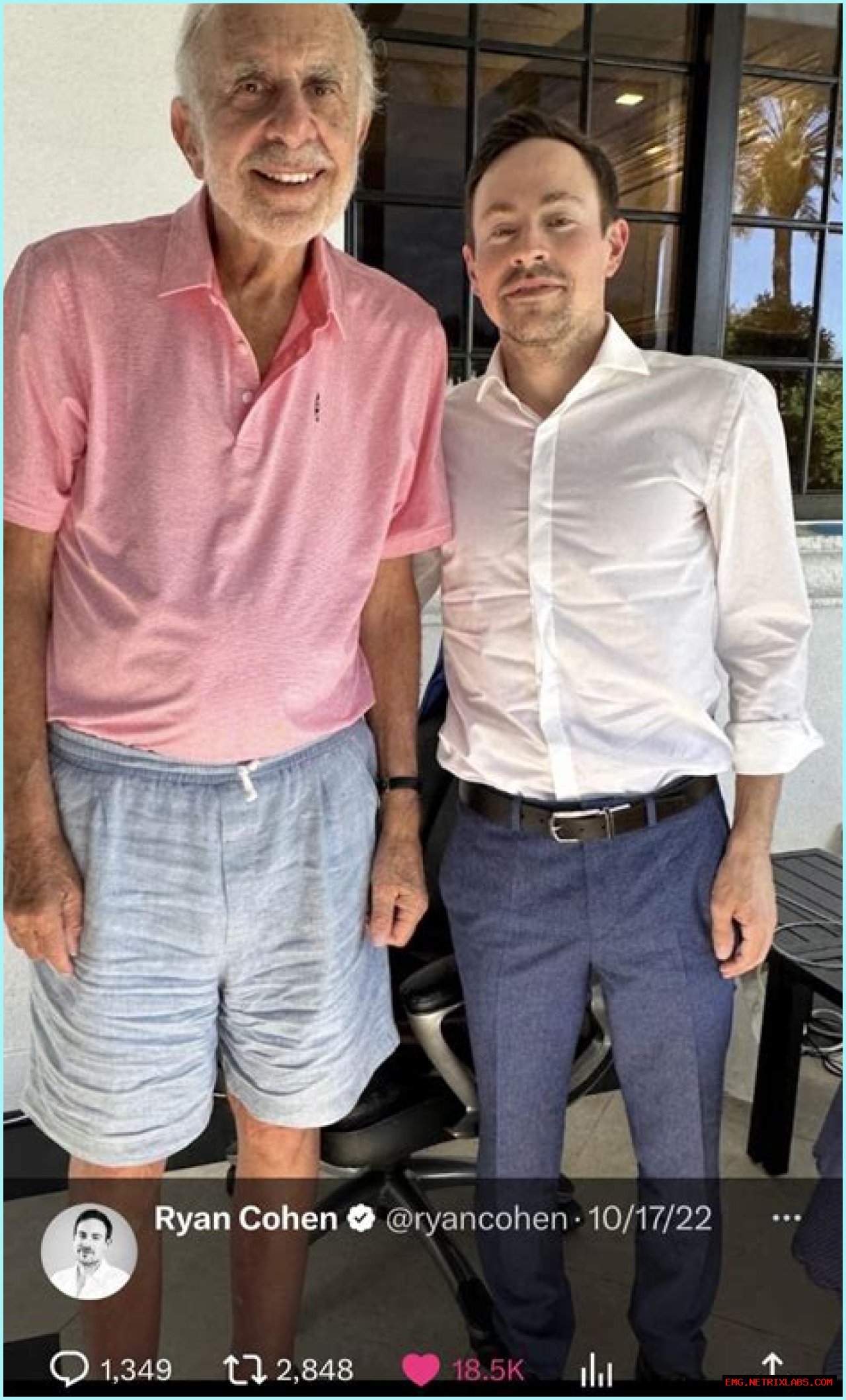 Discoveries Await In 'Ryan Cohen's Wife's Name'