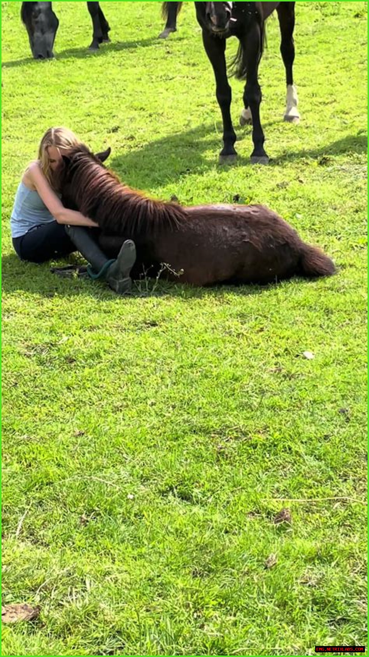 Exploring The Life And Journey Of Casper Henderson Stockwell